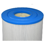 Filtre à cartouche Spa DF100 - C-5397 - 50801 - PLBS100