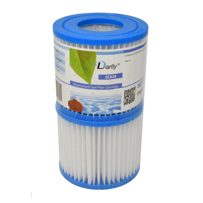 Pack de 2 Filtres à cartouche Spa Intex Type D - 40025