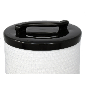 Filtre à cartouche Spa Arctic Silver Sentinel après 2009 - 006541 - PP6541