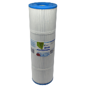 Filtre à cartouche Spa DF100 - C-5397 - 50801 - PLBS100