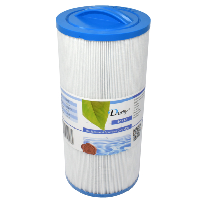 Filtre à cartouche Spa CH25 - 40260 - 4CH-24 - PGS25P4 - 20254-238