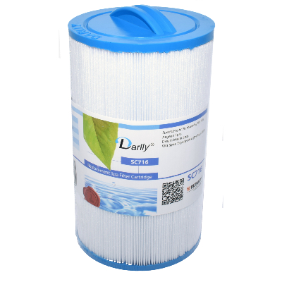 Filtre à cartouche Spa CH19 - 4CH21 - 40191 - PLT18 - 20245-238