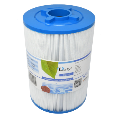 Filtre à cartouche Spa LR100B - PWW100ST - 60403 - 6CH-942